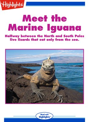 cover image of Meet the Marine Iguana